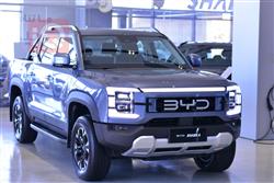 بي واي دي شارك 6